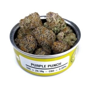 Purple Punch Strain