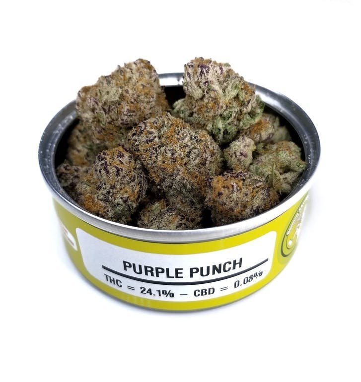 Purple Punch Strain