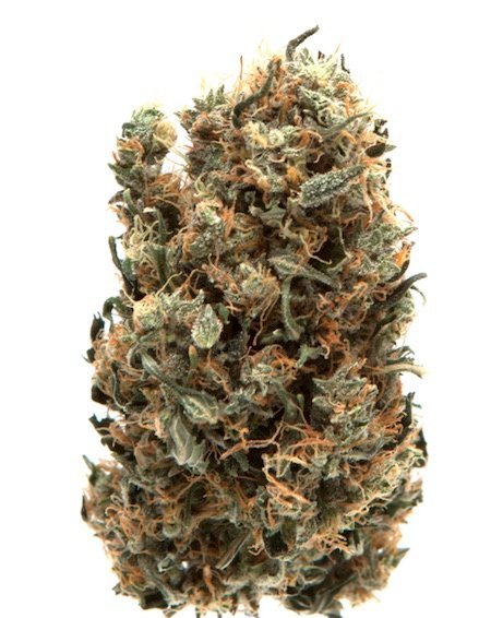 AK-47 Strain