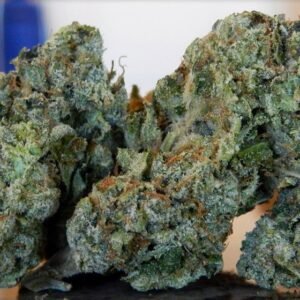 Alaskan Thunder Fuck Strain