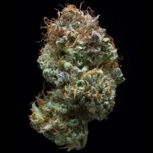 Amnesia Haze Strain