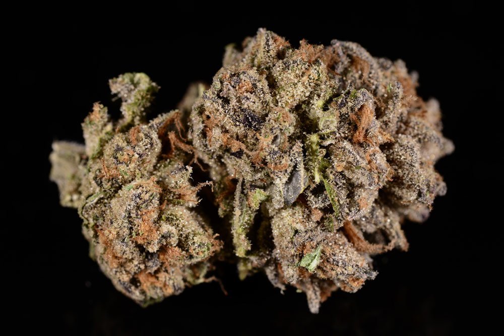Cherie Pie Strain