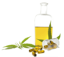 Co2 oil