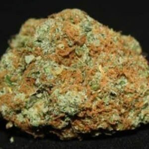 G13 Strain