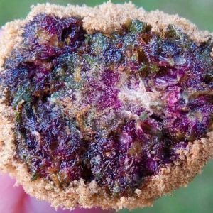 GRAND DADDY PURPLE MOONROCKS