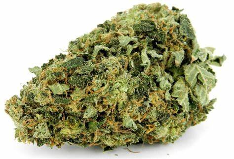 Hindu Kush