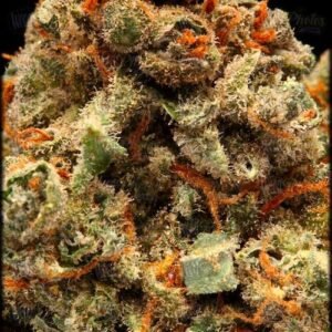 Jack Herer Strain