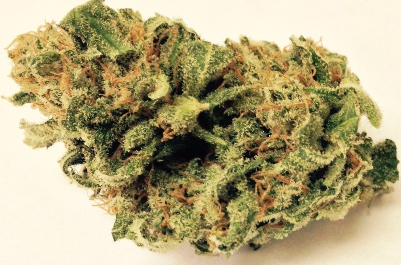 Lemon Kush Strain