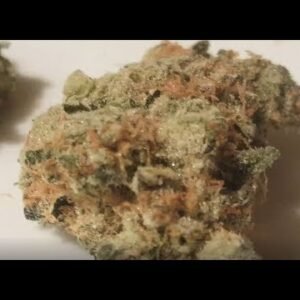 Mango Kush Strain