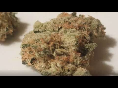 Mango Kush Strain