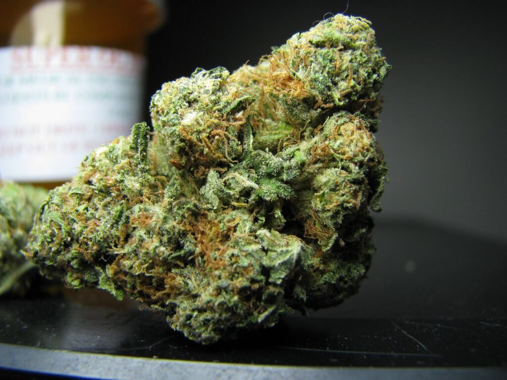 Master Kush Strain