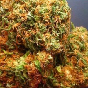 Afghan Kush Strain