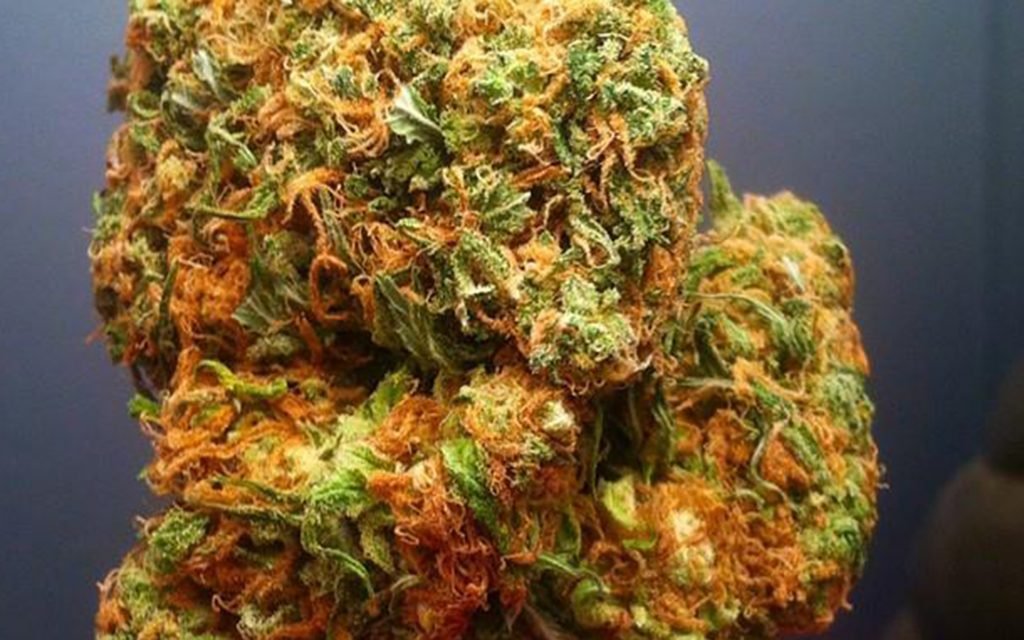Afghan Kush Strain