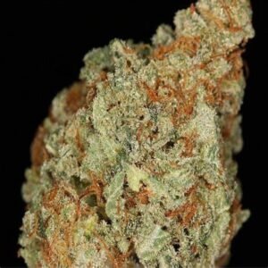 NYC diesel Strain