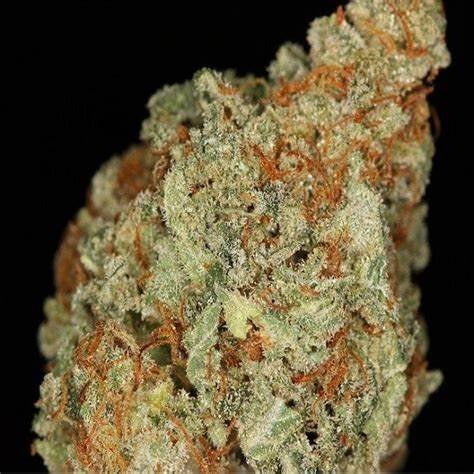 NYC diesel Strain