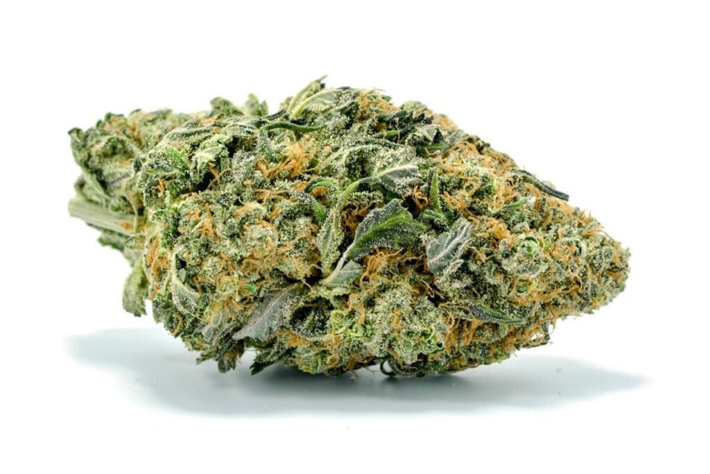 Northern Lights Strain