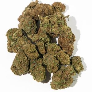 Orange Bud Strain