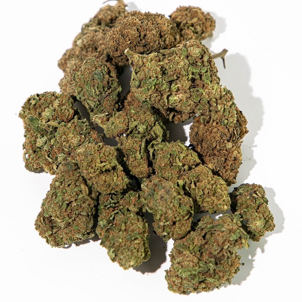 Orange Bud Strain
