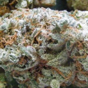 Pineaple Express Strain