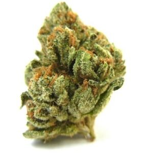 Skywalker OG Strain