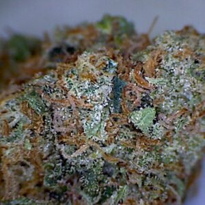 Tahoe OG Kush Strain