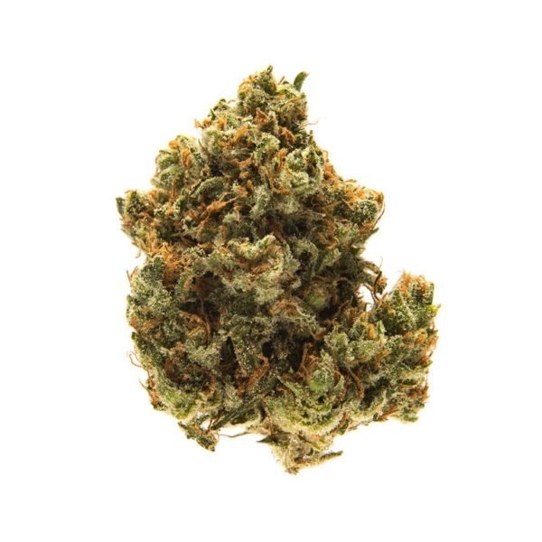 LEMON TWIST - Image 4