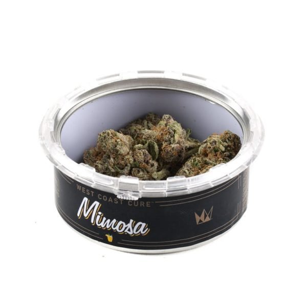 MIMOSA - Image 3