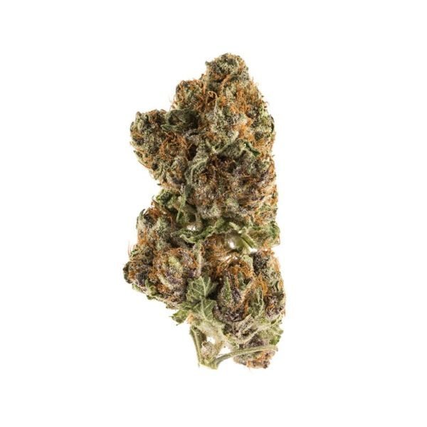 MIMOSA - Image 2