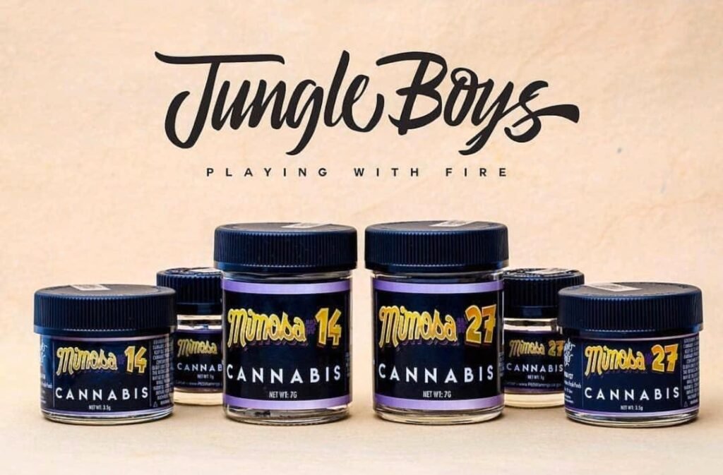 Buy Mimosa #14 & #27
