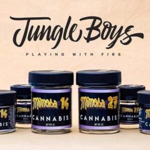 Buy Mimosa #14 & #27