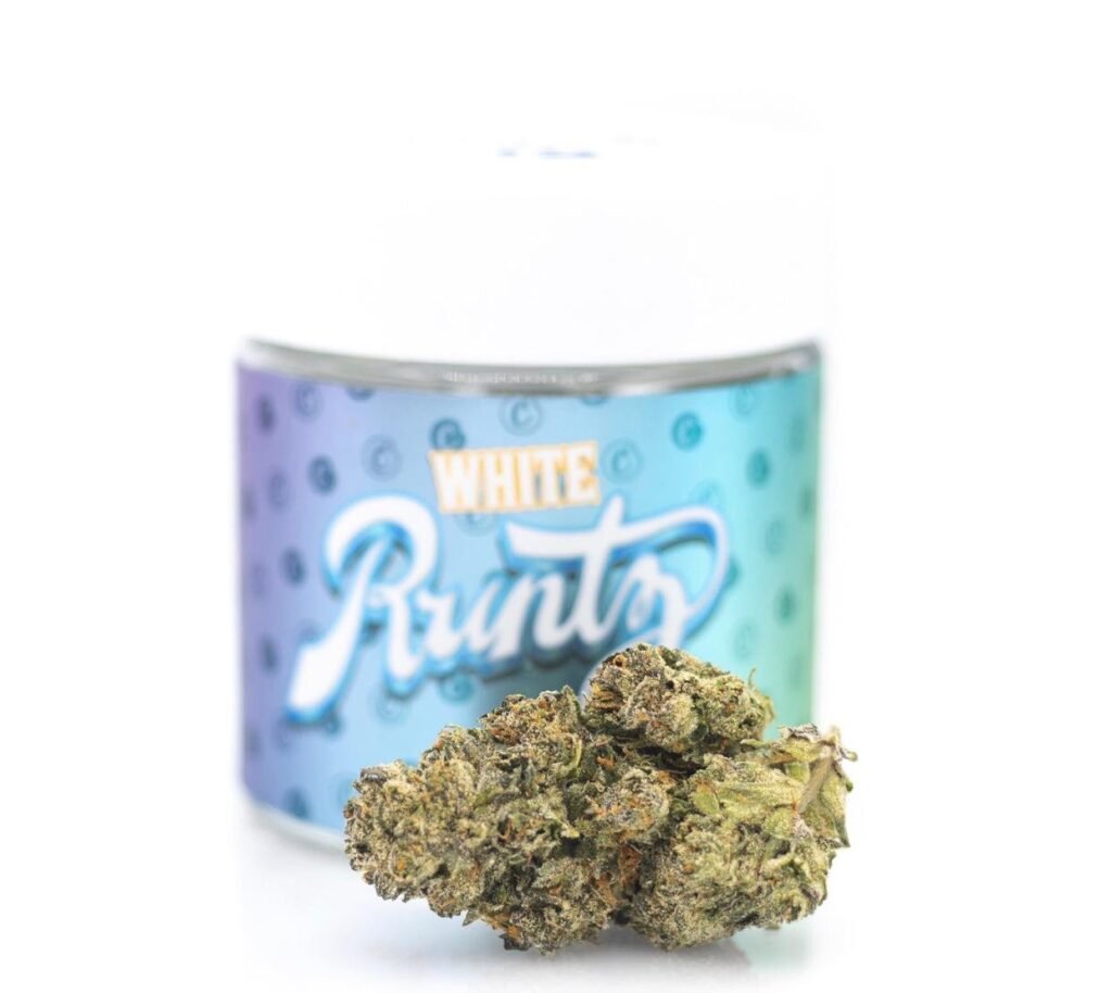 Buy White Runtz Strain