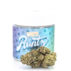 Buy White Runtz Strain