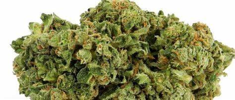 White Rhino Strain