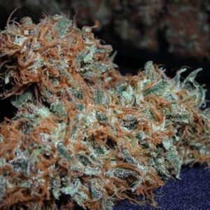 White Widow Strain