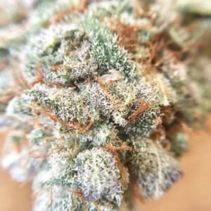 Blackberry Kush Strain