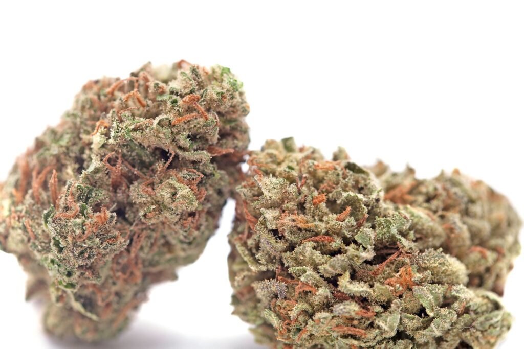 Buy Chemdawg Strain