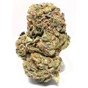 Critical Kush Strain