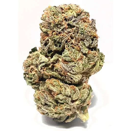 Critical Kush Strain