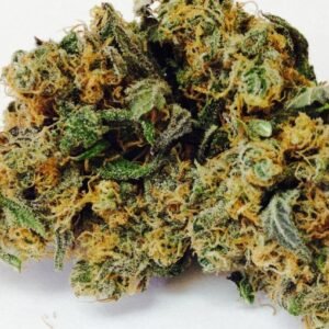 Granddaddy Purple Strain