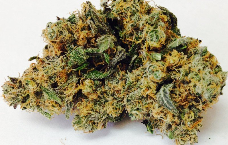 Granddaddy Purple Strain