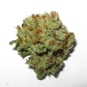 Lemon Haze Strain