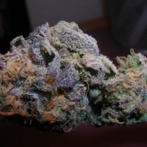 Purple Urkle Strain