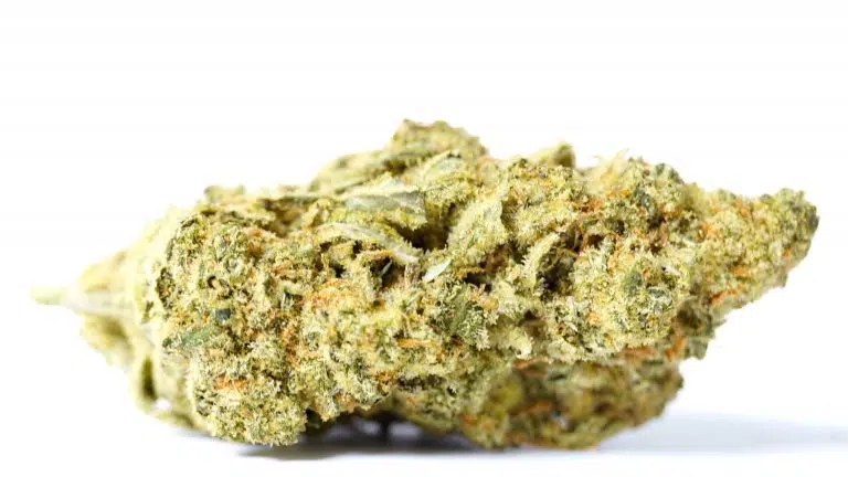 Super Silver Haze Strain