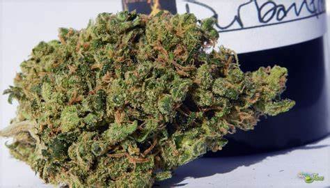 Durban Poison Strain